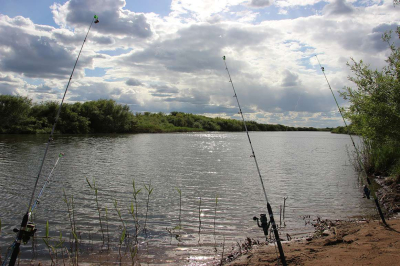В нацпарке «Бурабай» незаконно ловили рыбу
