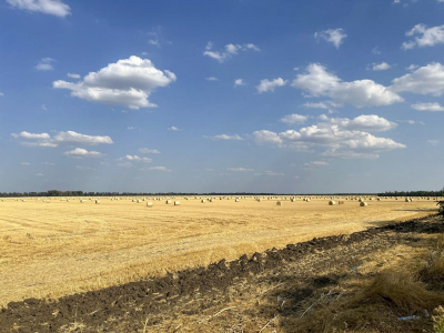 Курс на малый бизнес: нижегородские фермеры получат на 20 процентов больше поддержки