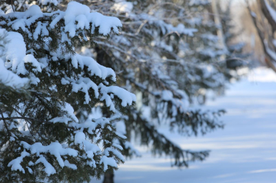 Зимнее солнцестояние 2025: самая длинная ночь в году позади
