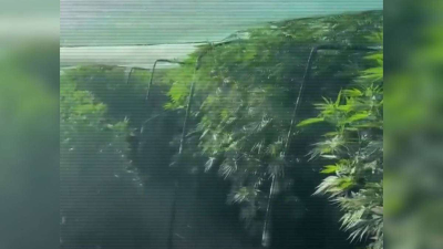 В ряде регионов Казахстана пресечены каналы поставки наркотиков