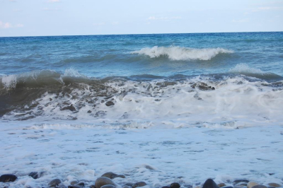 Курорты Индии, Египта и Сицилии атаковали медузы