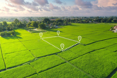 Свыше 343 тысяч гектаров неиспользуемых земель с 2022 году возвращено государству в ВКО