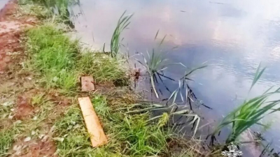 Тело в пруду: в Татарстане мужчина утонул, очищая трубу от камыша 02/06/2026 &ndash; Новости