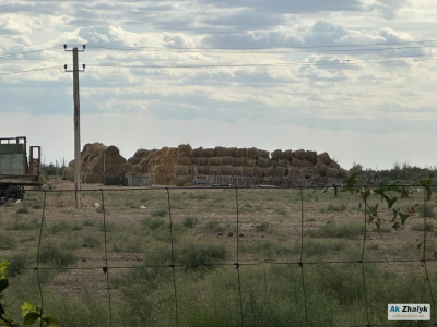 ​&quot;Сотни тысяч гектаров — в одних руках&quot;: в Азгыре не утихают споры за землю