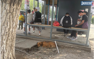 Народный репортер. Новую остановку поставили, но вокруг ямы и мусор