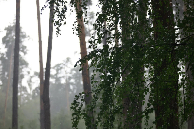 В Татарстане в конце апреля введут особый противопожарный режим