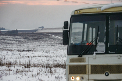 Минсельхоз и&nbsp;минлесхоз РТ&nbsp;оценили последствия рекордных снегопадов