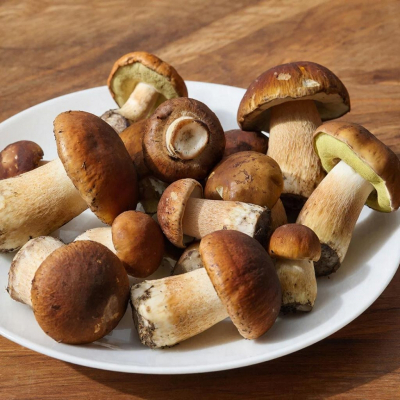 Новосибирский нутрициолог объяснила, кому не стоит есть грибы