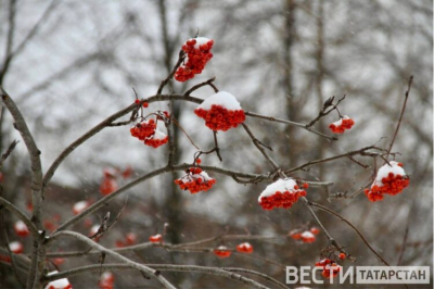 В Татарстан придут сильные морозы до &minus;35 градусов