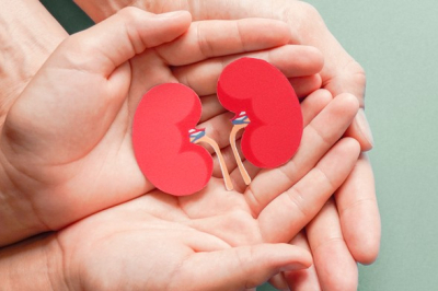 Срок ожидания, жизнь после: ответ врача на топ вопросов о пересадке почки