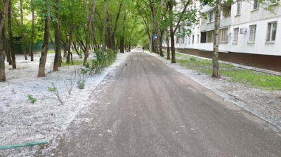 Врач Чернышева: пик тополиного пуха в Москве приходится на начало лета