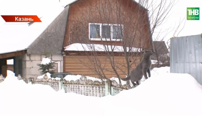 Сугробы высотой с двухэтажный дом: как Казань готовится встретить большую воду