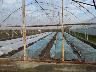 Новый склад на 200 тонн продукции построили в Базар-Коргонском районе