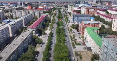 За пять лет - пять миллионов деревьев