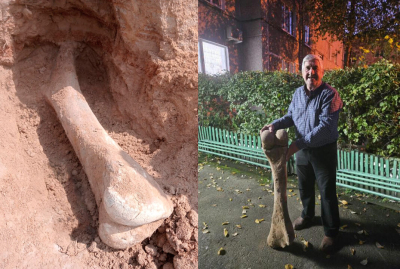 Вот это кость!