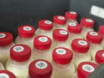 Свердловское молоко снова появилось в других регионах: угроза миновала