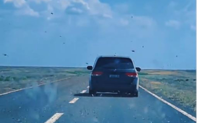 Саранча «атакует» автомобили в Казахстане