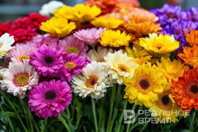 Казань вошла в лидеры по росту цен на цветы