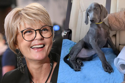 &laquo;Мордочка, от которой невозможно оторваться&raquo;: 55-летняя Меньшова привела в дом пушистого красавца