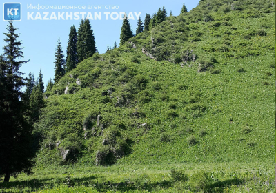 Акимат Алматы изымает земли для строительства дороги к горнолыжному комплексу &quot;Кок-Жайлау&quot;