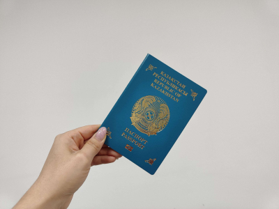 Жители Алжира и Ботсваны получили визы для работы в IT-сфере Казахстана