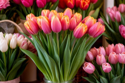 Почти половина россиян предпочли бы получить на 8 марта продукты вместо цветов