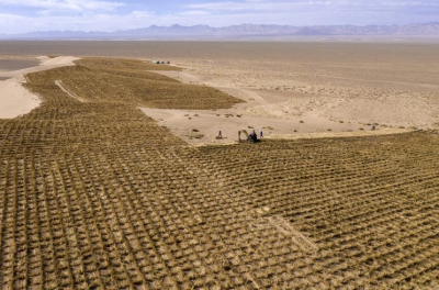 Создан Центр сотрудничества Китая и ЦА по борьбе с опустыниванием